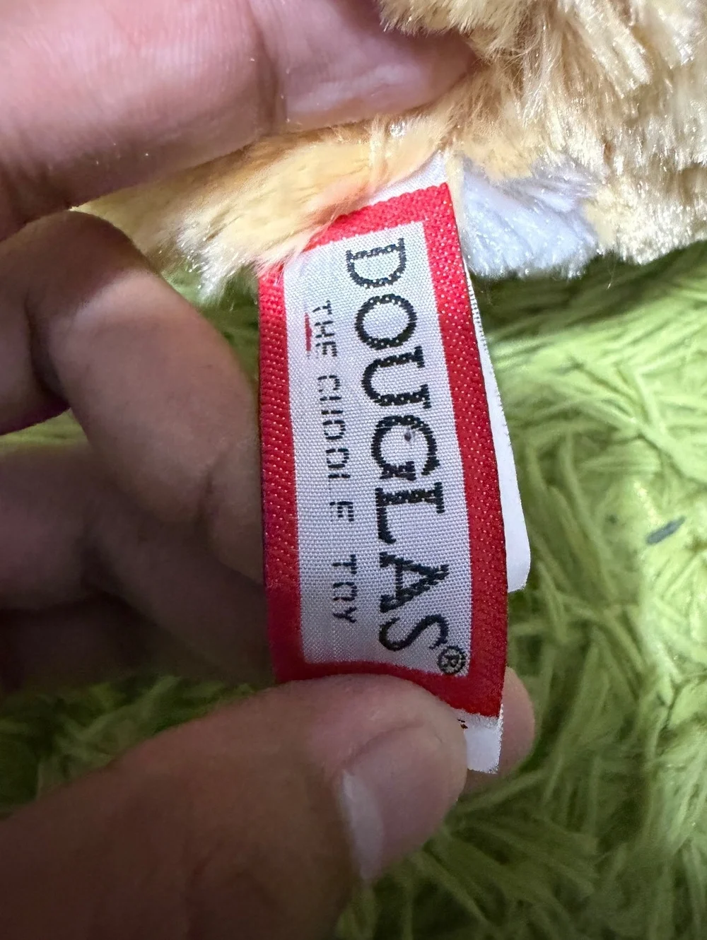 Douglas Rudy Corgi 
